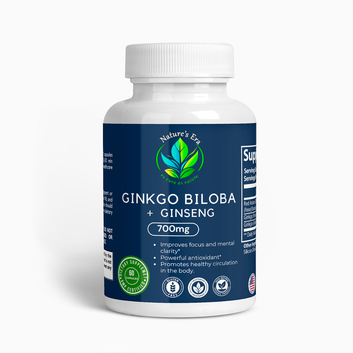 Ginkgo Biloba + Ginseng