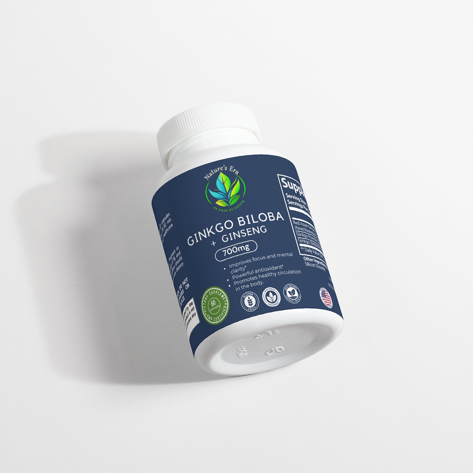 Ginkgo Biloba + Ginseng