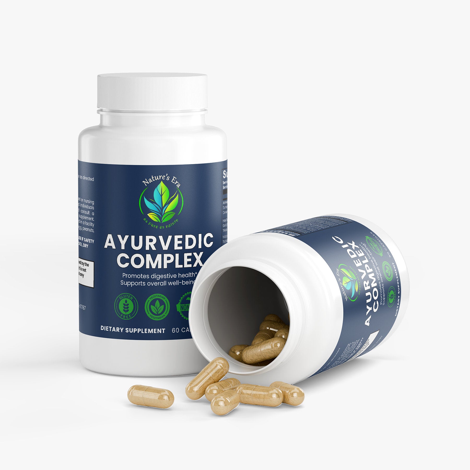 Ayurvedic Complex